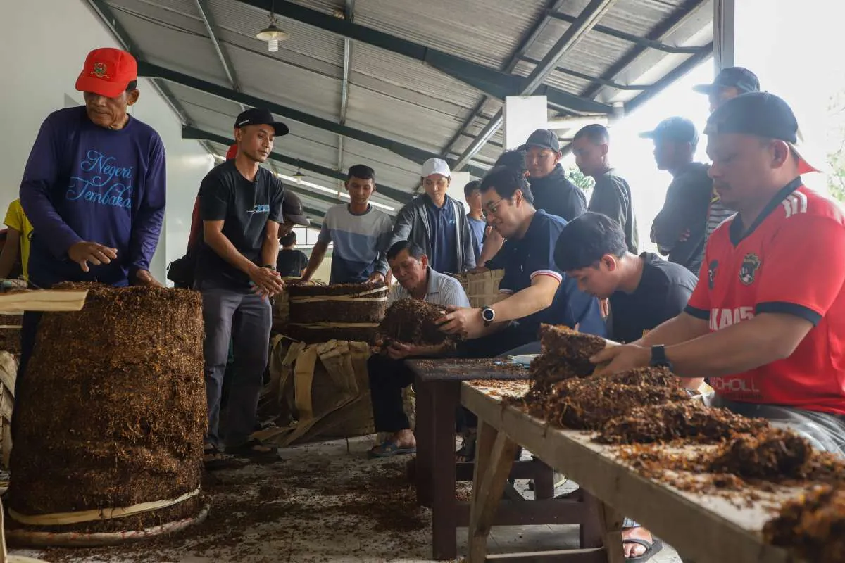 Alasan Serikat Pekerja Tembakau Minta Presiden Deregulasi PP 28/2024