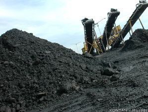 Laba Bersih BUMA Rp 151 M