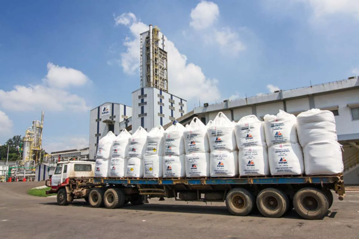 Laba Naik 63%, Kinerja Ancora Indonesia Resources (OKAS) Positif di Kuartal I 2024 