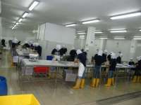 Saham IKAN Tetiba Menggeliat, Tiga Hari Beruntun Harga Terbang 87,30%, Apa Sebabnya?