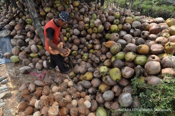 Indonesia ekspor minyak kelapa ke Hongaria