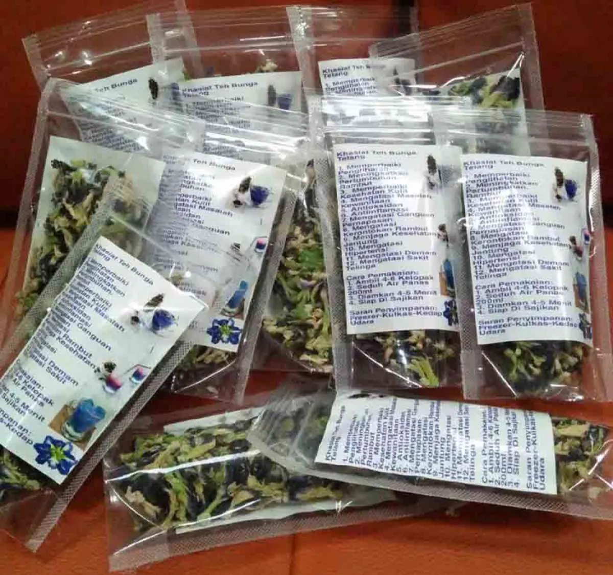 Peluang terang dari budidaya bunga telang (bagian 1)