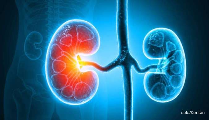 Penting Diketahui! Inilah Gejala Gagal Ginjal dan Penyebabnya 