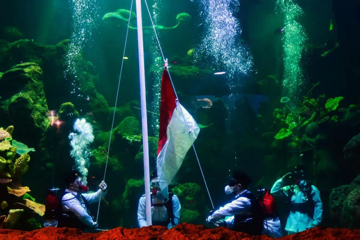 Harga tiket masuk Sea World Ancol periode 1-18 Desember 2020, ini daftarnya