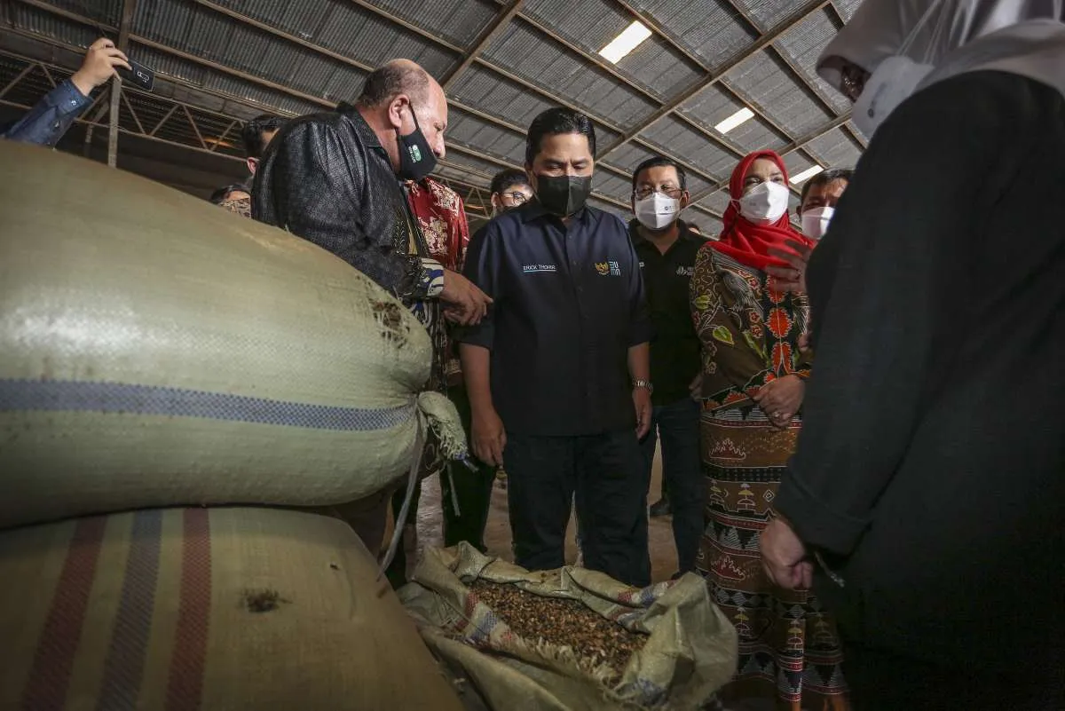 Kementerian BUMN Luncurkan PMO Kopi Guna Tingkatkan Kapasitas dan Kualitas Kopi