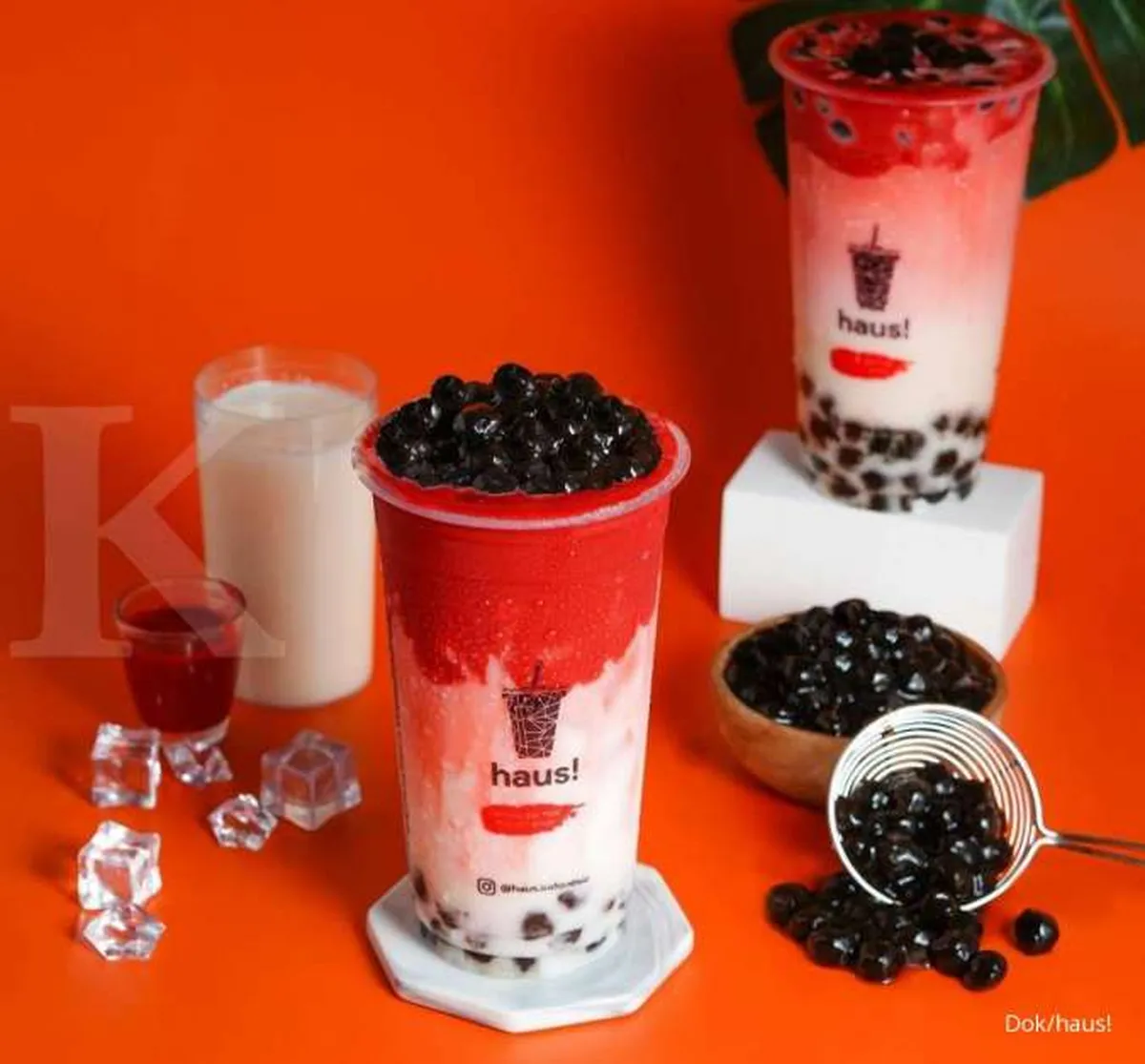 Anggarkan capex Rp 450 juta, Haus siap tambah gerai di Surabaya dan Yogyakarta