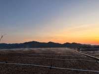 Profil Emiten EMAS: Cek Lini Usaha hingga Keuangan dari Sub Holding MDKA 