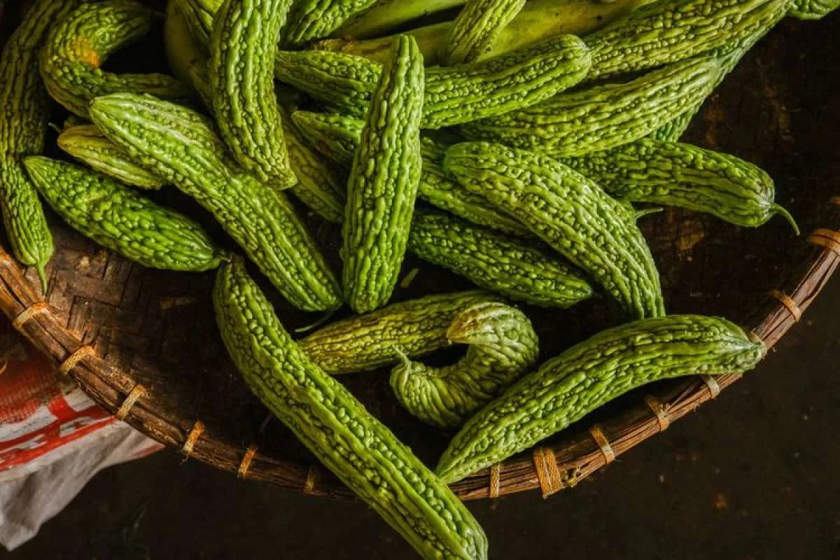 7 Manfaat Pare yang Jarang Diketahui, Cek Juga Kandungan Vitaminnya