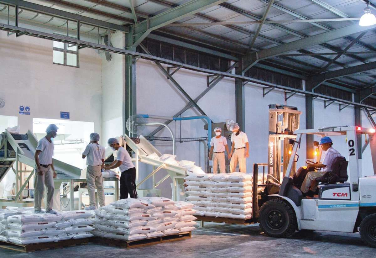 Cerestar Indonesia (TRGU) Menambah Kapasitas Produksi