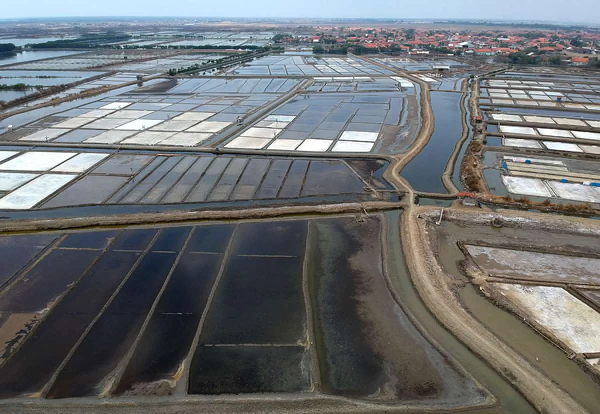 APGRI: Aturan wajib serap garam lokal bakal tingkatkan serapan industri