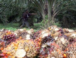 BPS: Inflasi Februari lebih rendah dari 0,89%