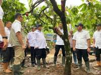 PMO Kopi dan Kakao Nusantara Hadirkan Center of Excellence Kakao di Banyuwangi