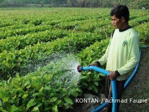 Pagu Anggaran Kementerian Kehutanan Rp 5,93 Triliun