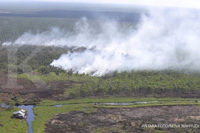 Duh, 90 hektare lahan di Jambi terbakar