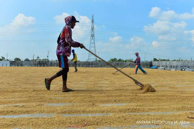 Jelang Puncak Panen, Bulog Targetkan Serap Beras Petani Hingga 1,4 Juta Ton