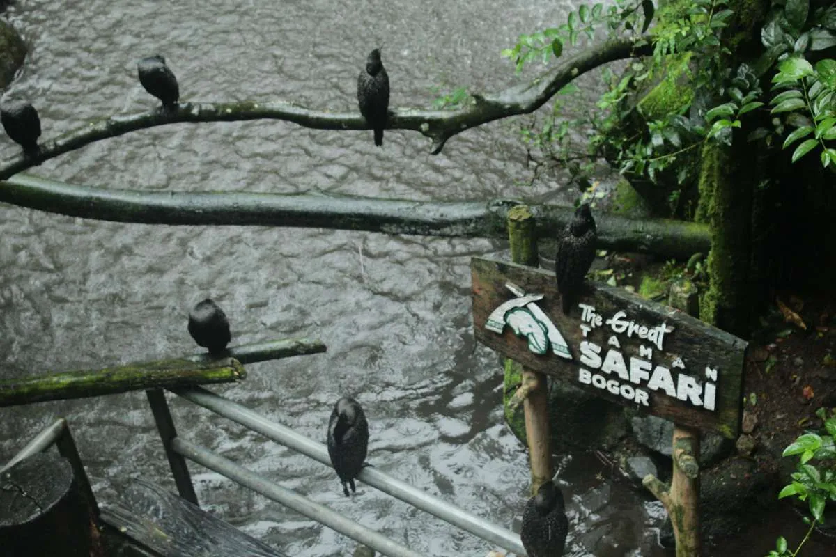 Keseimbangan Bisnis TSI : Antara Konservasi dan Ekowisata Berkelanjutan