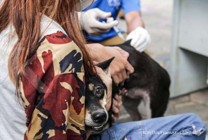 Jakarta Masuk dalam Daerah Risiko Tinggi Rabies