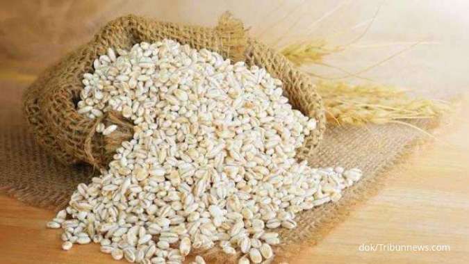 Ini Manfaat Konsumsi Barley Secara Rutin untuk Kesehatan Penderita Diabetes