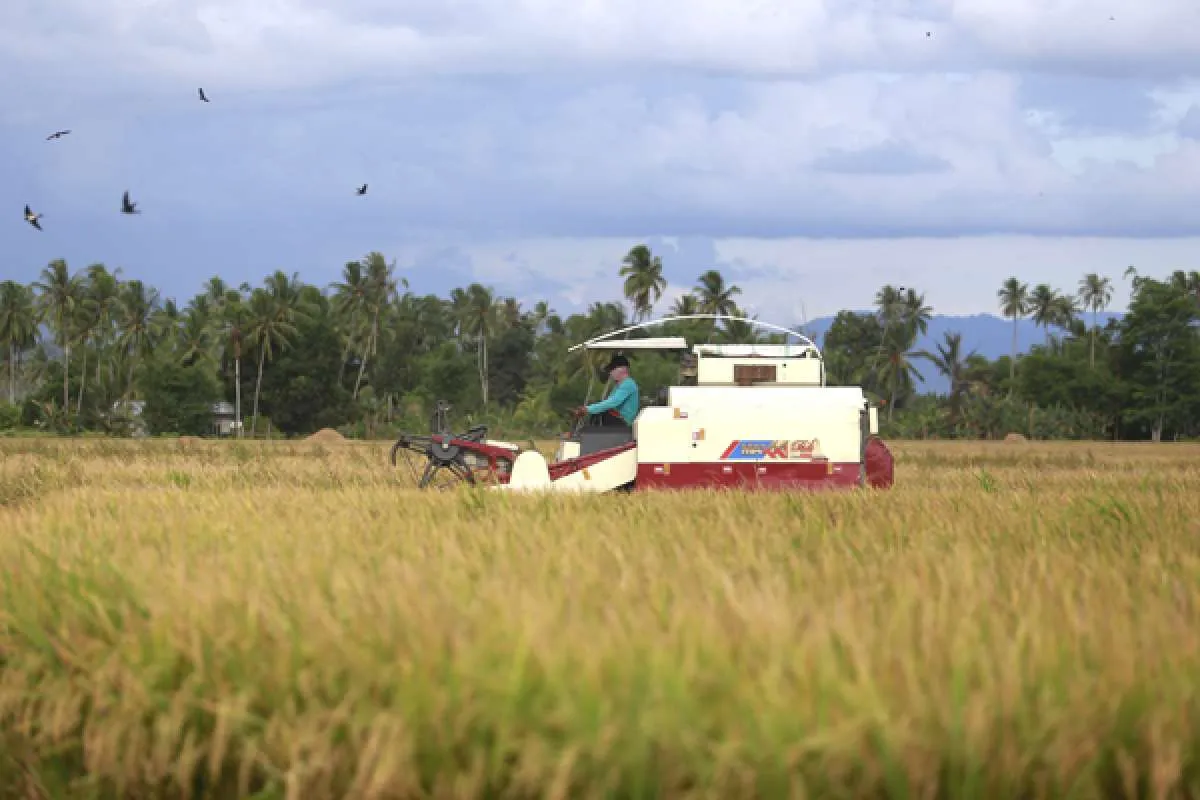 Dengan Bantuan Teknologi Bisa Genjot Panen Pertanian dan Mencapai Kemandirian Pangan
