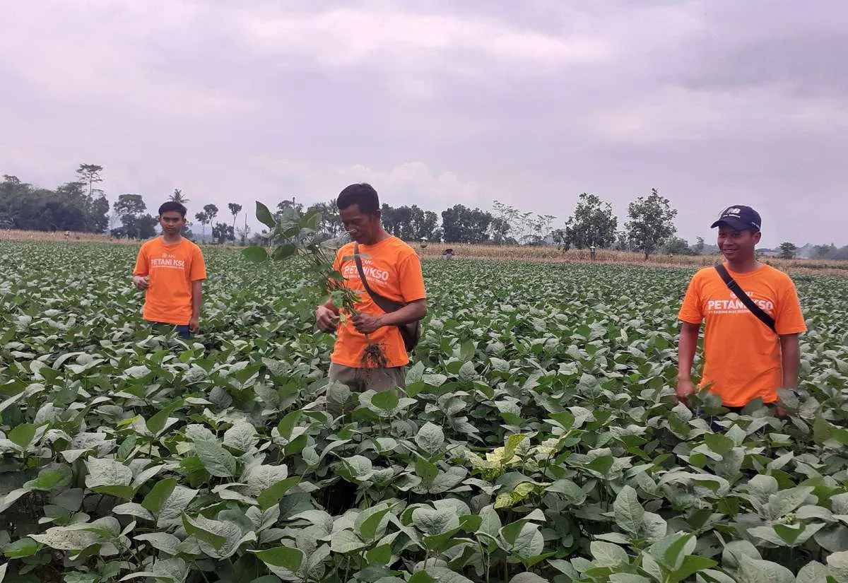 Austindo (ANJT) Menilai Kolaborasi dengan Pemerintah Kunci Keberhasilan SDGs