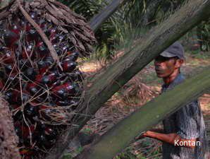 Berbisnis Sagu, Sampoerna Agro Siap Gelontorkan US$ 8 Juta 