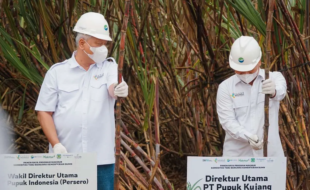  Program Makmur Semakin Diminati Kelompok Petani, Ini Alasannya