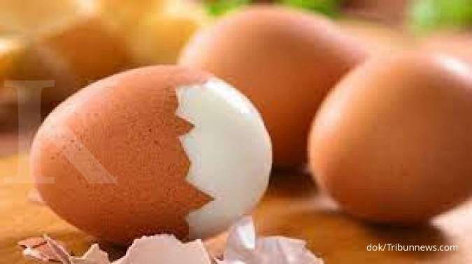 Makan telur berlebihan bisa memicu bisul, benarkah? 
