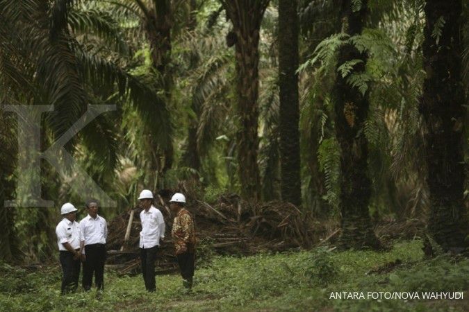 Catatan 3 tahun Jokowi-JK di pembangunan desa
