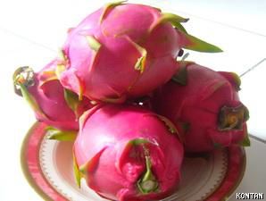 Mengeruk Laba si Buah Naga