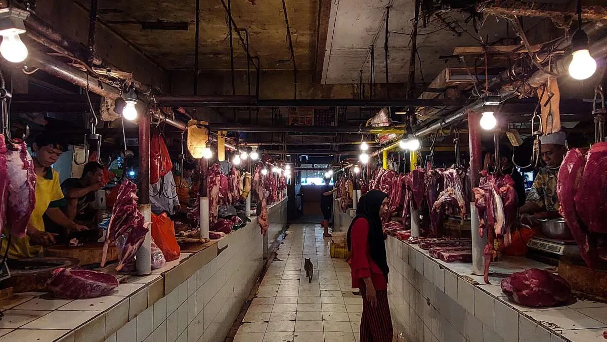 Aspidi Pastikan Stok Daging Aman Hingga Dua Bulan ke Depan
