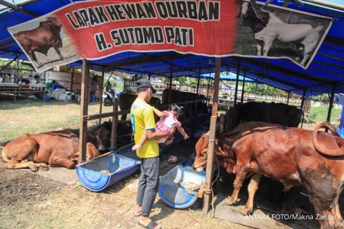 Ketersediaan hewan kurban secara nasional 2023