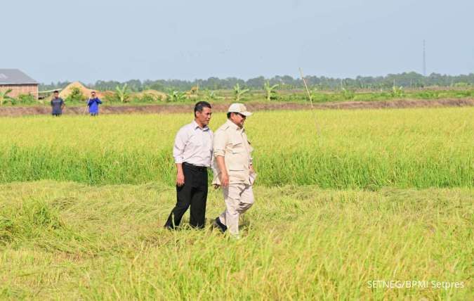 Berkunjung ke Papua Selatan, Prabowo Tinjau Langsung Panen Padi di Merauke