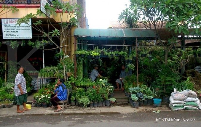 Memburu pusat tanaman hias di Solo (1)