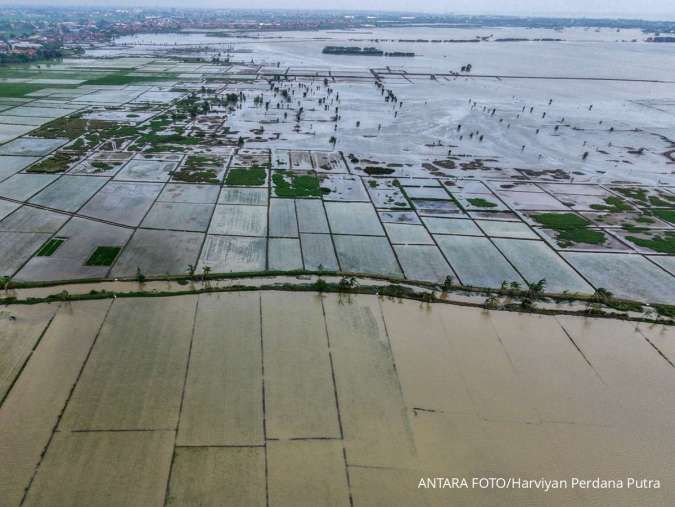 Kementan Usulkan Tambahan Anggaran Rp 5,1 Triliun Untuk Pemulihan Lahan Pasca Bencana
