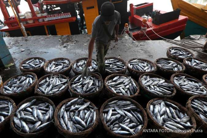 Harga Ikan Tongkol, Cabai Merah Keriting, dan Daging Ayam di Papua Naik, Rabu (11/12)