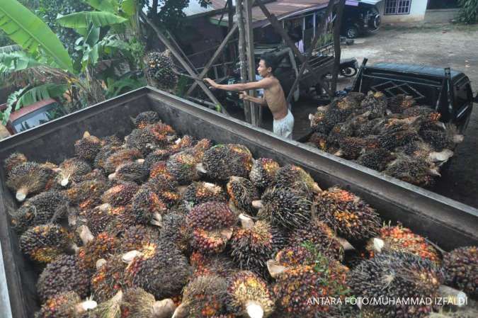 Minyak Sawit Mengungkit Surplus Neraca Dagang