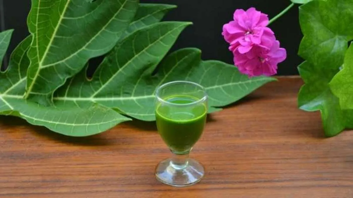 Daun Pepaya Bisa untuk Mengontrol Gula Darah, Ini 4 Manfaat Lainnya 