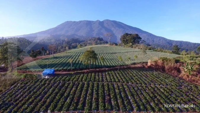 Mt. Gede Pangrango to be closed in mid-August