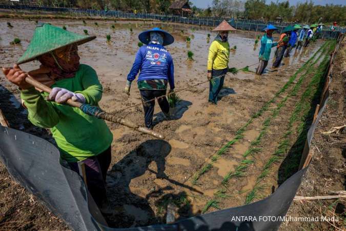 Perbankan Perkuat Mitigasi Risiko Dampak El Nino