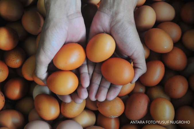 Harga Daging dan Telur Ayam Naik Usai Inflasi Beras Mulai Melemah