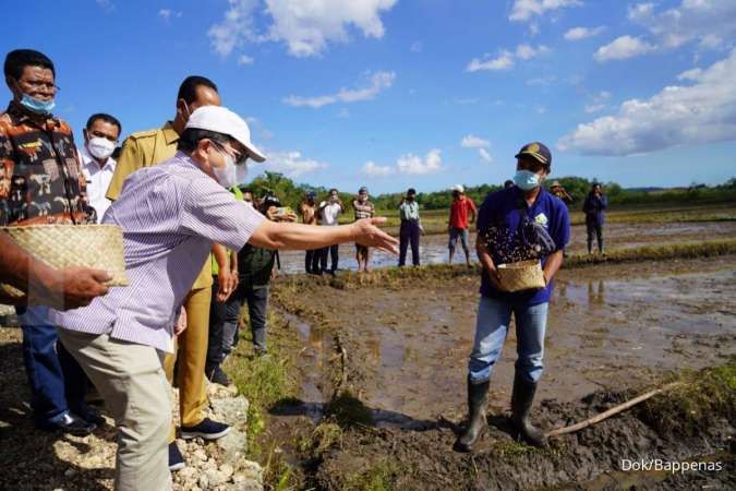Awali Kunjungan Kerja Sumba, Menteri Suharso Tinjau Bendungan Kambaniru hingga Food Estate Sumba Tengah