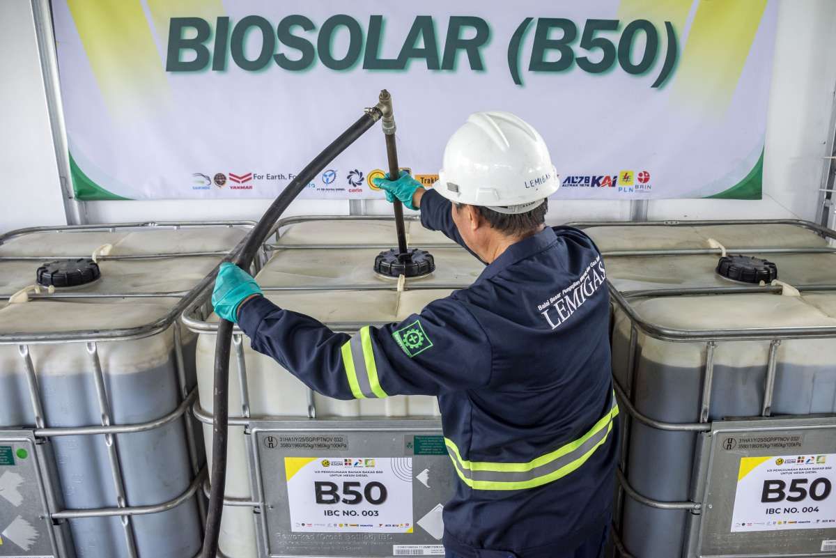 Pemerintah Mematangkan Program B50