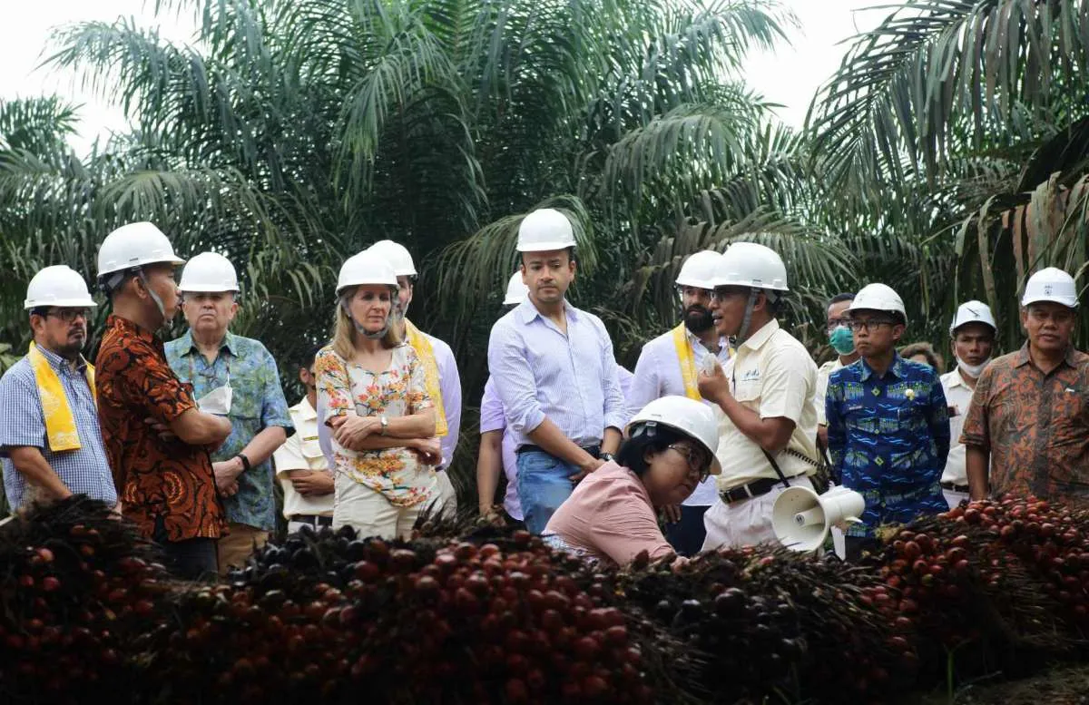 Kuartal I-2023, Austindo Nusantara Jaya (ANJT) Bukukan Kerugian US$ 3,76 Juta