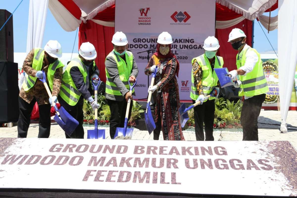 Mau Pecahkan Rekor IPO Tahun Ini, Widodo Makmur Unggas Listing Pekan Pertama Desember