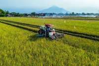 Prakiraan Cuaca Jawa Timur Besok (14/8) Didominasi Cerah, Kota Batu Paling Dingin