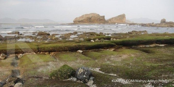 Jember janjikan kemudahan investasi pariwisata