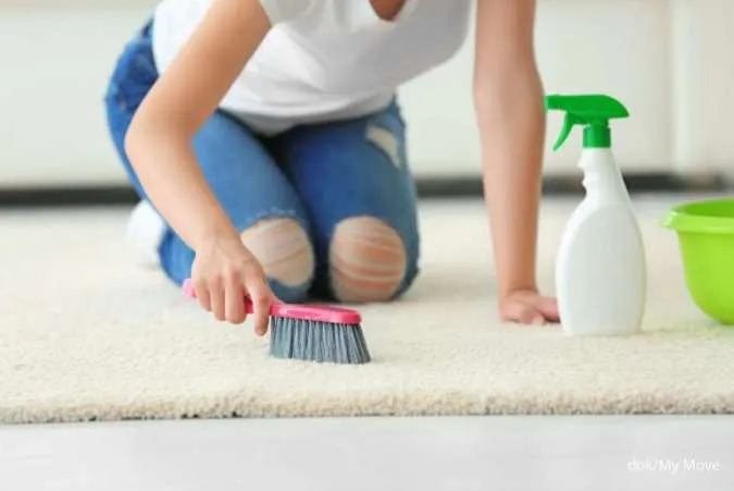 Begini Cara Menghilangkan Bau Pipis yang Menempel di Karpet