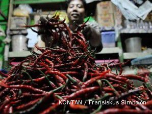 Petani minta pemerintah campur tangan mengatasi fluktuasi harga cabai