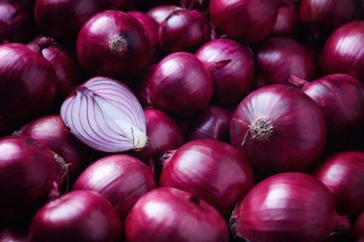 Ini 4 obat sinusitis dari bahan alami yang bisa Anda coba