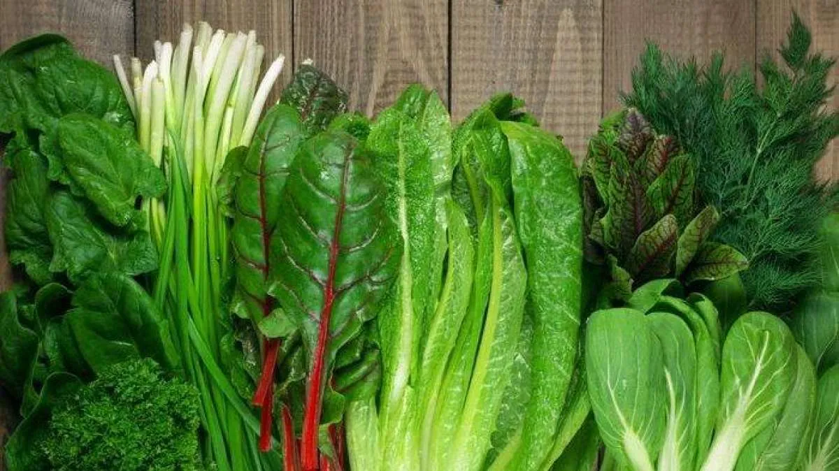 Ini Kegunaan Makan Sayur untuk Tubuh